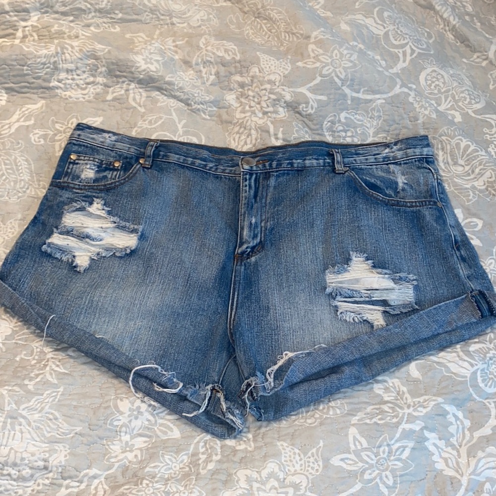 Women’s shorts size 20